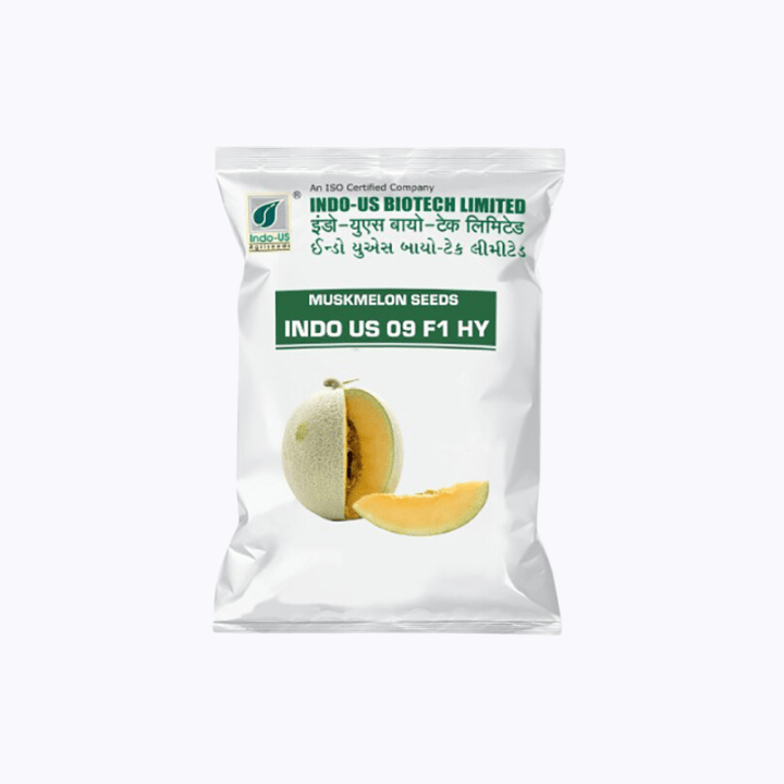 Indo Us 09 F1 Hy Muskmelon Seeds