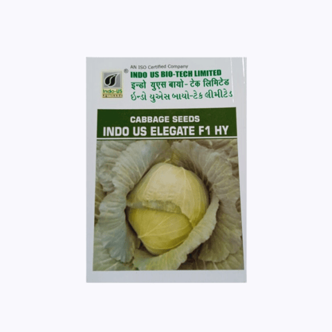 Indo Us Elegate Cabbage Seeds