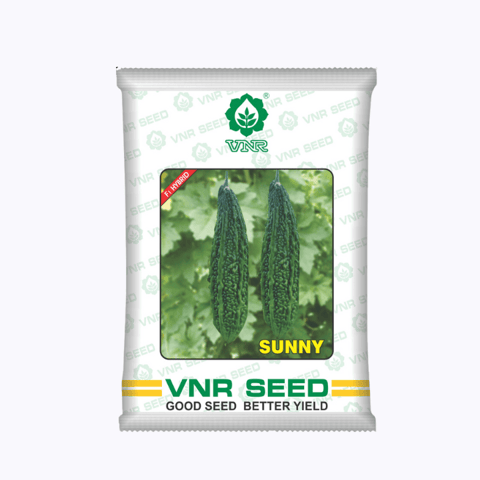 VNR F1 Hybrid Sunny Bitter Ground Seeds