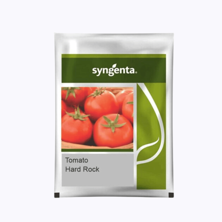 Syngenta Hard Rock Tomato Seeds