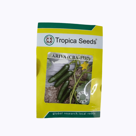 Ariva CBA 1737 Cucumber Seeds