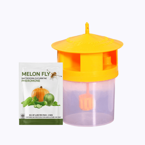 Green Victory Melon fly Pheromone Bactrocera Cucurbitae + Trap