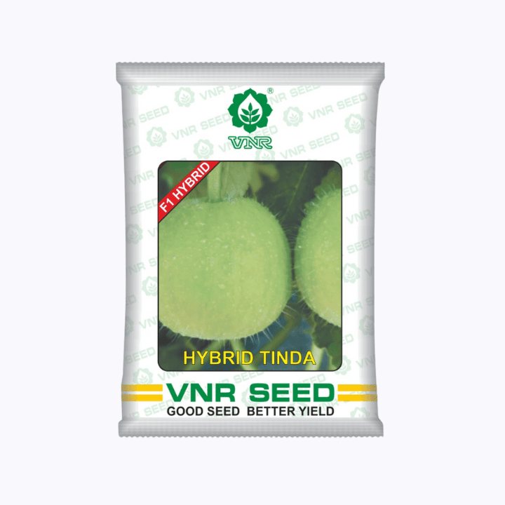 VNR Hybrid Tinda Seeds