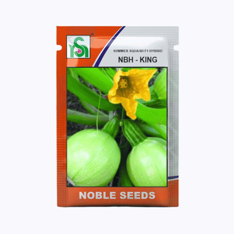 Noble NBH-KING Squash seeds