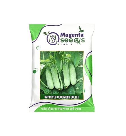 Bullet - Desi Khira Cucumber Seeds