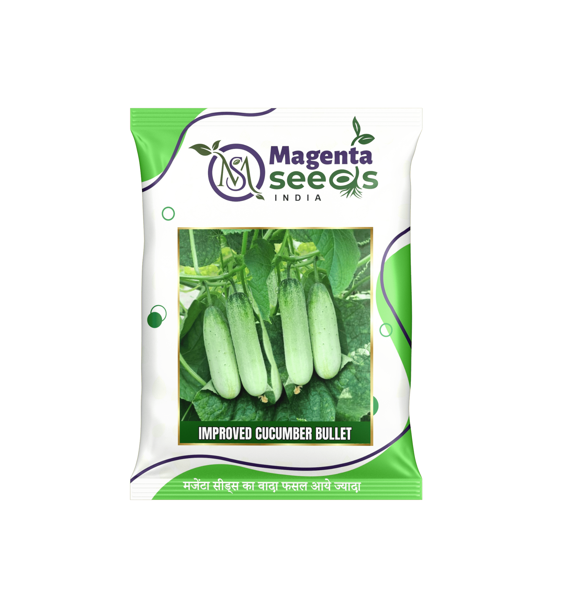 Bullet - Desi Khira Cucumber Seeds