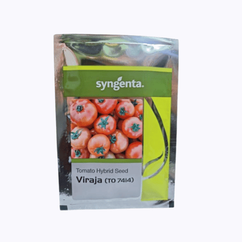 Syngenta VIRAJA 7414 Tomato Hybrid Seeds