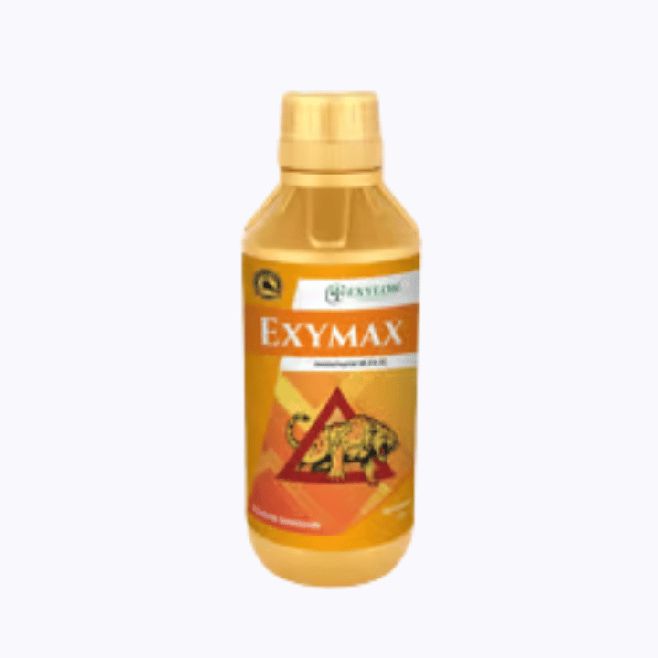 Exylon - Exymax (Imidacloprid 30.5% SC) Insecticide