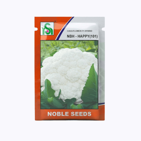 Noble NBH-Happy (101) Cauliflower Seeds