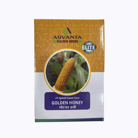 Advanta Golden Honey Sweet Corn Seed