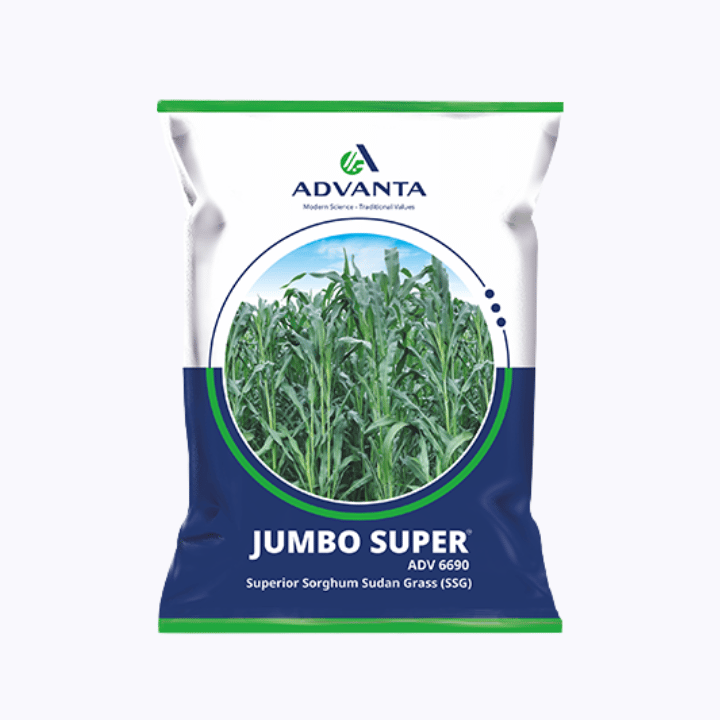 Advanta Jumbo Super Seeds