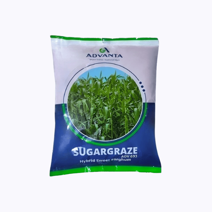 Advanta Forage Sugargraze Grass Seeds