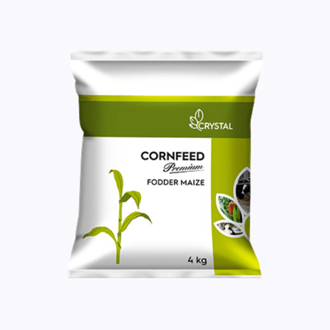 Crystal Cornfeed Premium Fodder Maize Seeds