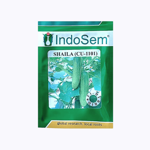 Indosem Shaila (CU-1101) Cucumber Seeds