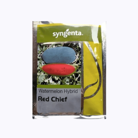 Syngenta Red Chief Watermelon Seeds