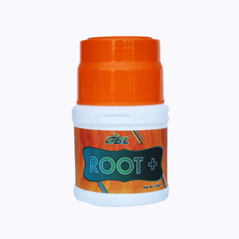 GBL Root + Mycoriza Biofertilizer