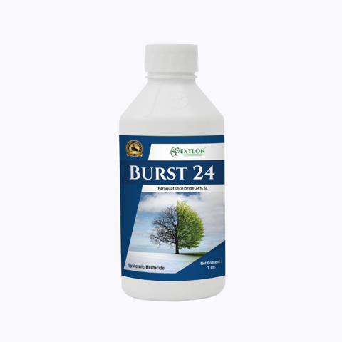 Exylon - Burst 24 (Paraquat Dichloride 24% SL) Herbicide