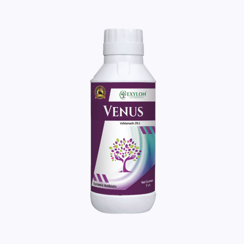 Exylon - Venus (Validamycin 3% L) Fungicide