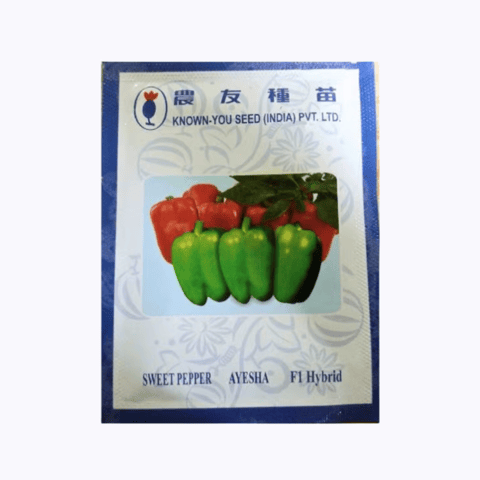 Known You Sweet Pepper Ayesha F1 Hybrid Capsicum Seeds