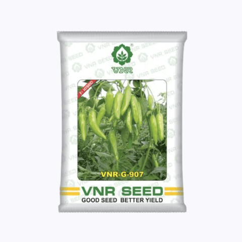 VNR G-907 Chilli Seeds