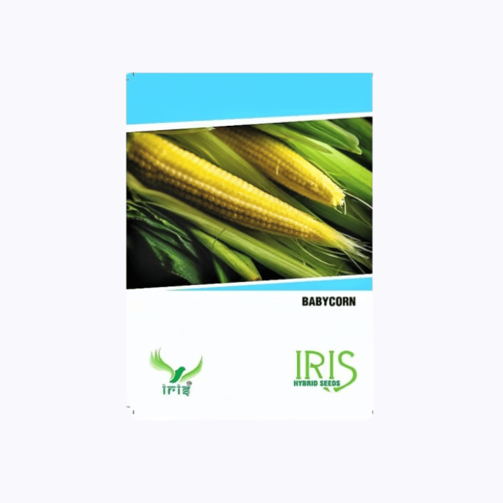 Iris OP Baby Corn Seeds