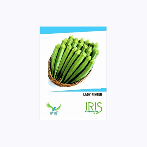 Iris Hybrid F1 Bhindi Seeds