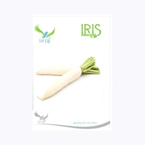 Iris Imported Radish Seeds