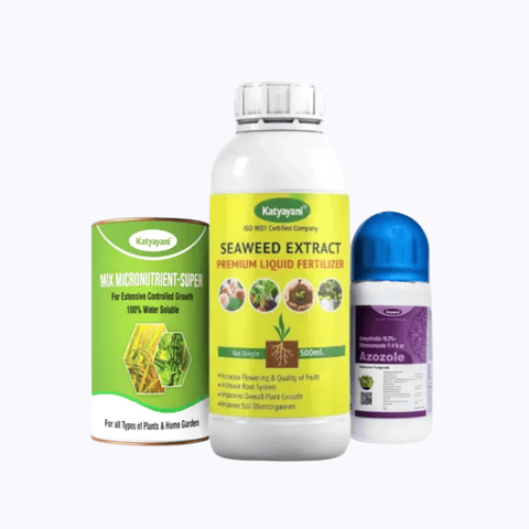 Katyayani Gram Protection & Growth Combo