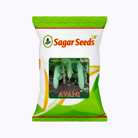 Sagar Avani F1 Cucumber Seeds