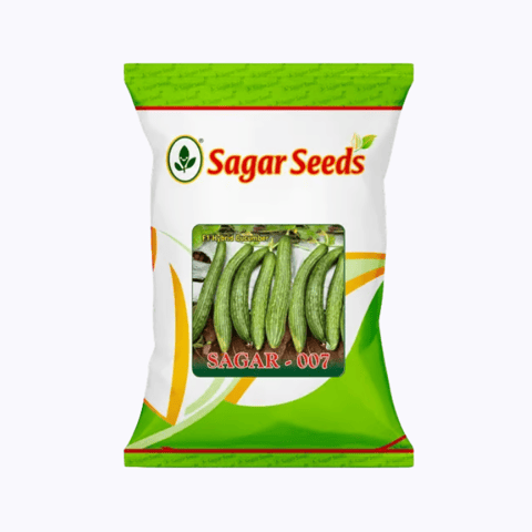 Sagar 007 F1 Cucumber Seeds