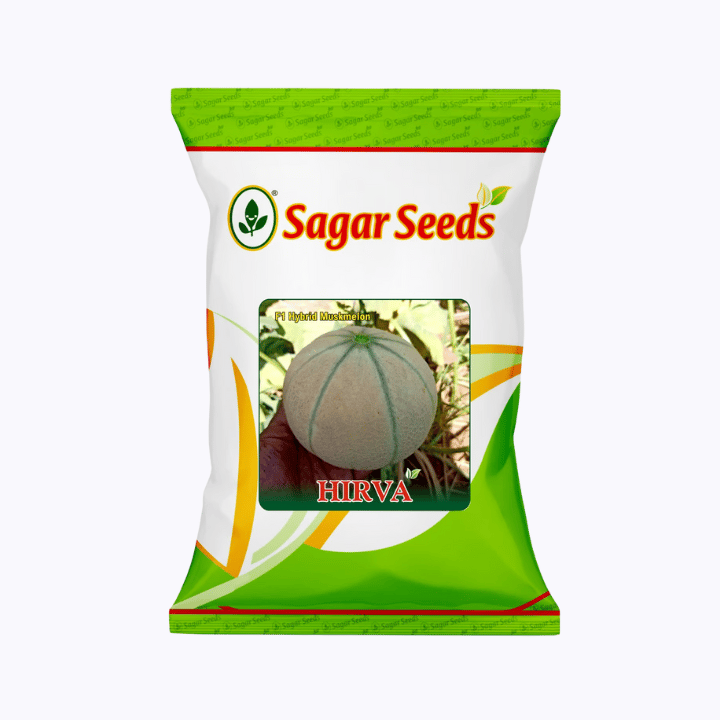 Sagar Hirwa F1 Muskmelon Seeds