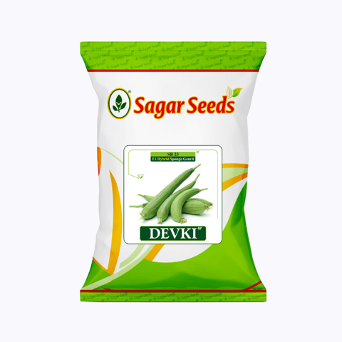 Sagar Devki F1 Spongegaurd Seeds