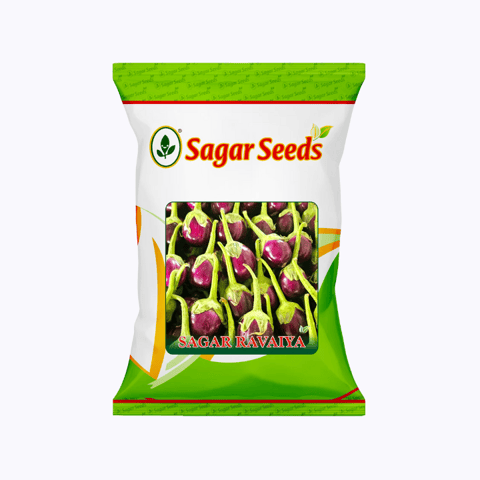 Sagar Ravaya F1 Brinjal Seeds