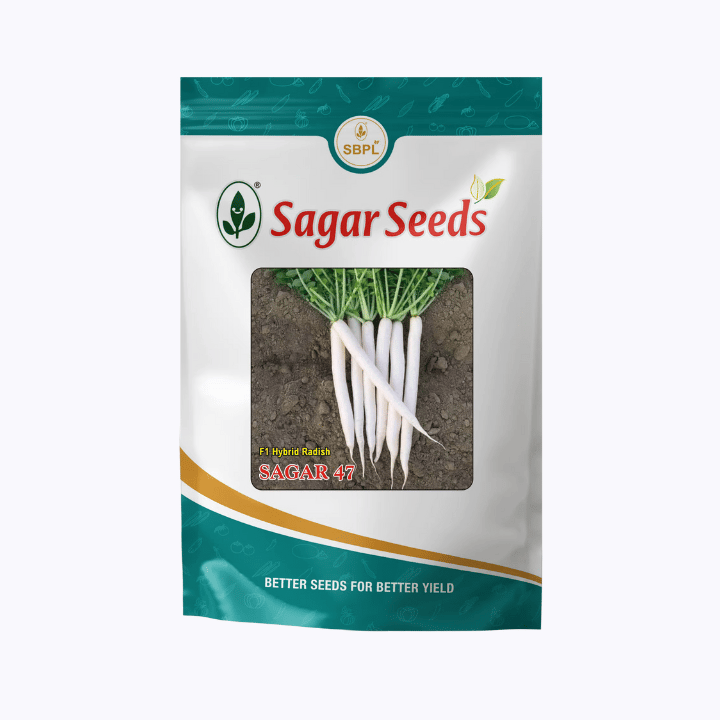 Sagar 47 F1 Radish Seeds