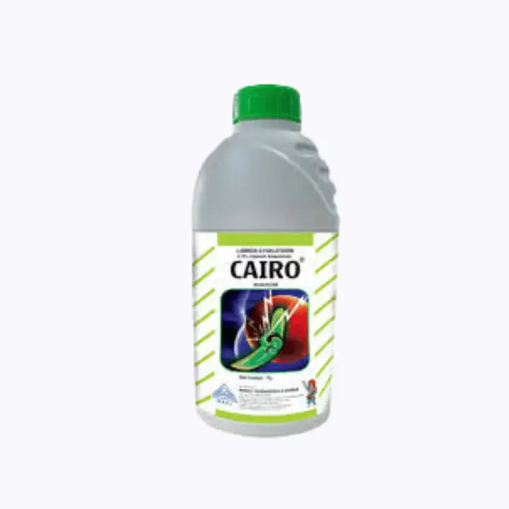 Buy Crystal Bavistin Fungicide - Carbendazim 50% DF for Disease Control ...